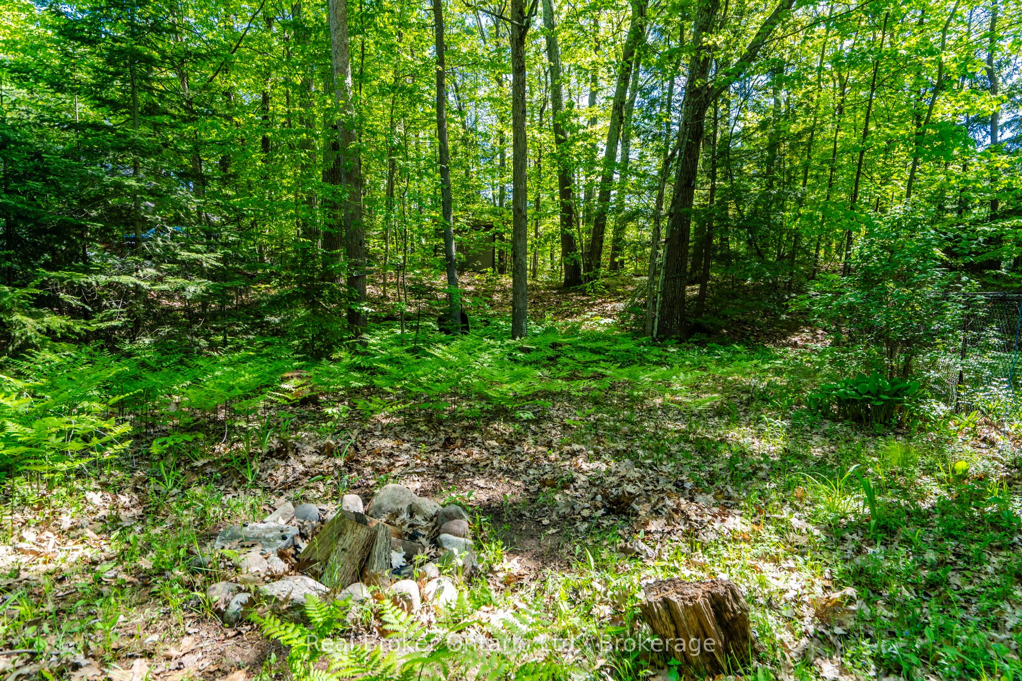 208 Desroches Trail Property Photo 22