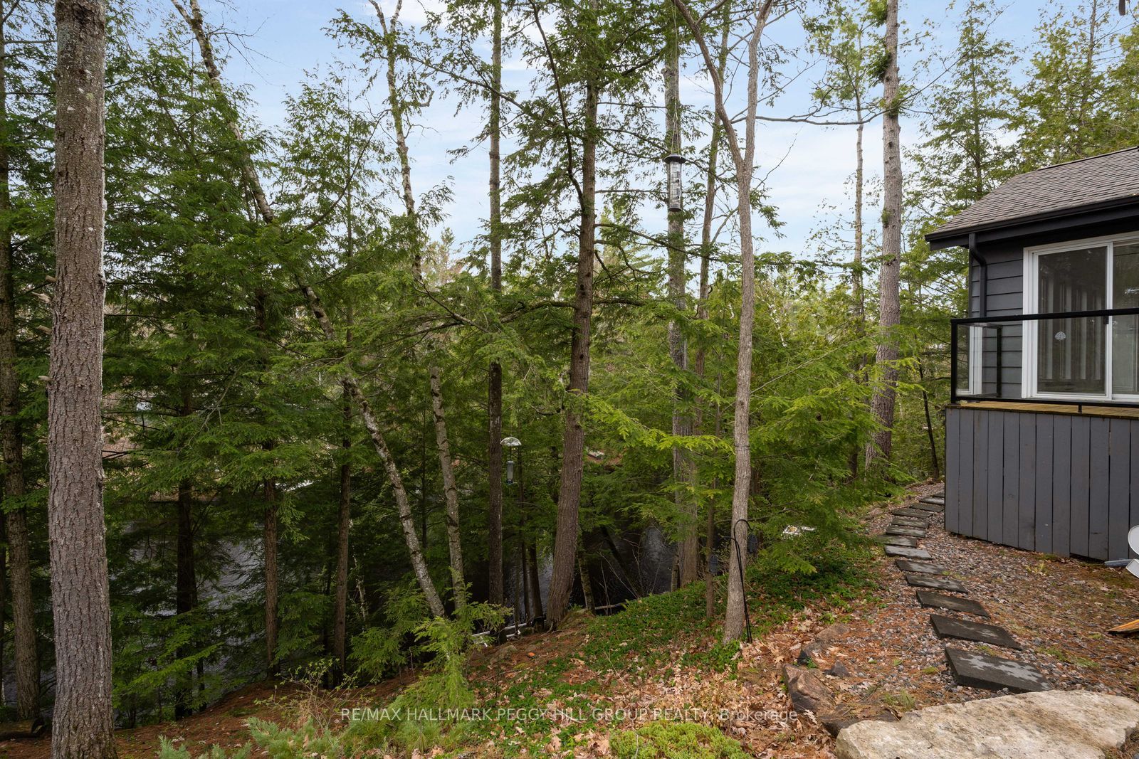 7672 Birch Drive Property Photo 18