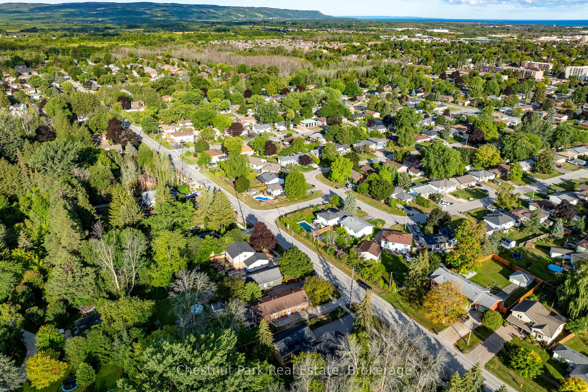 72 Campbell Street Property Photo 49