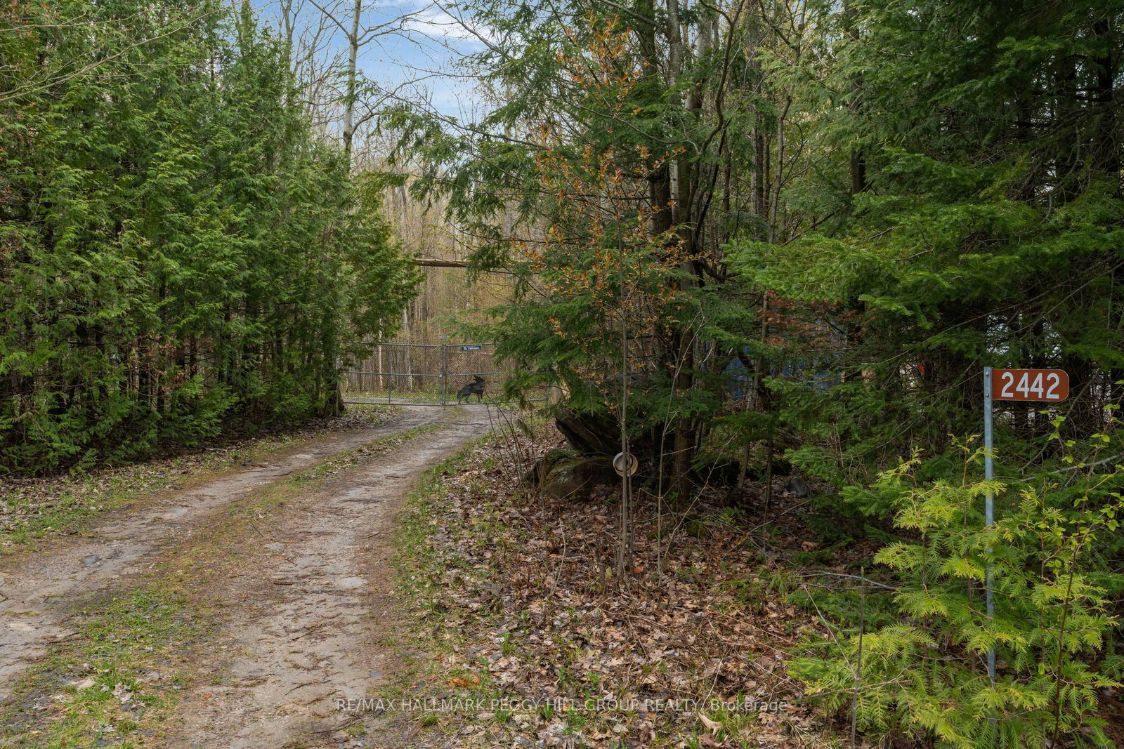 2442 Champlain Road Property Photo 4