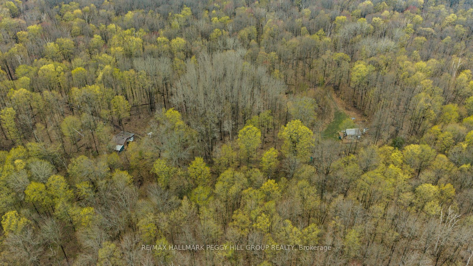 2442 Champlain Road Property Photo 8