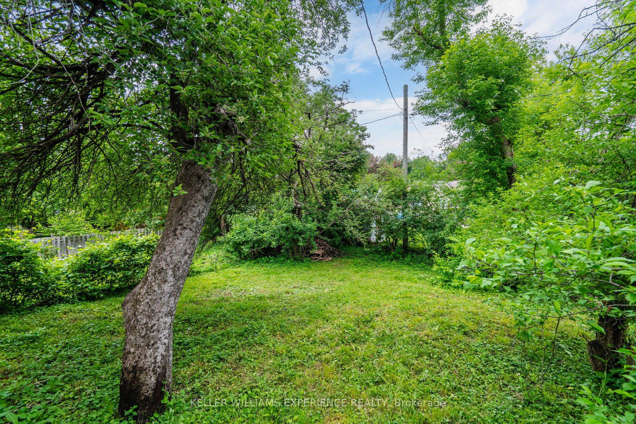 10 Argyle Avenue Property Photo 18