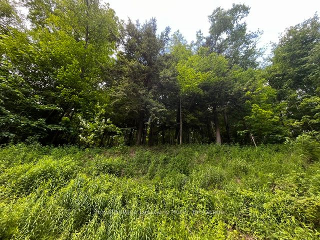 8840 9 County Road Property Photo 3