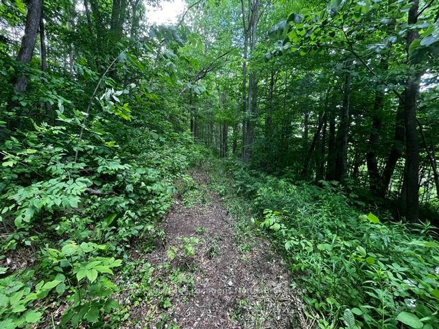 8840 9 County Road Property Photo 4