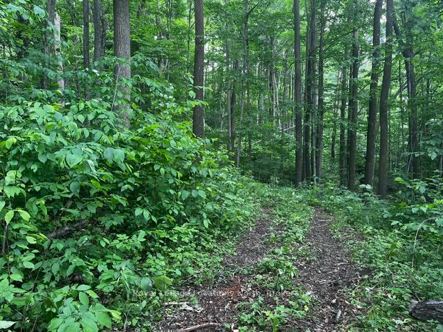 8840 9 County Road Property Photo 5