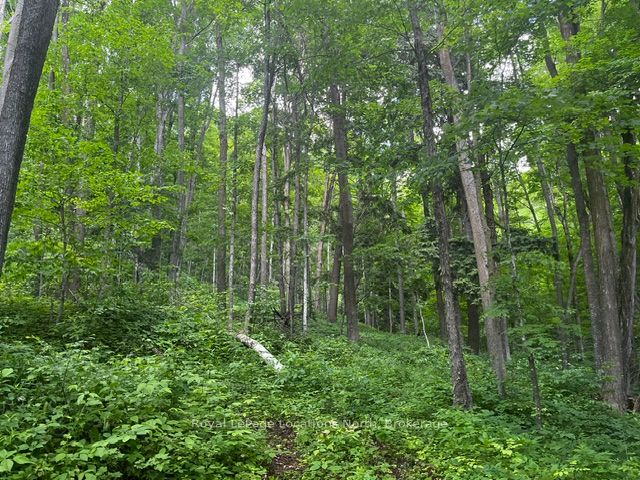 8840 9 County Road Property Photo 6