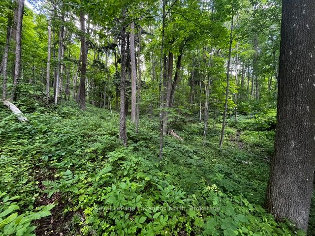 8840 9 County Road Property Photo 7