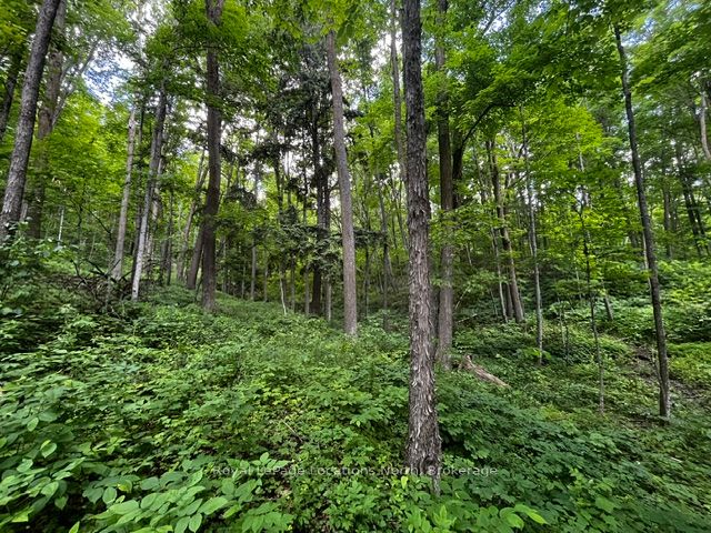 8840 9 County Road Property Photo 8