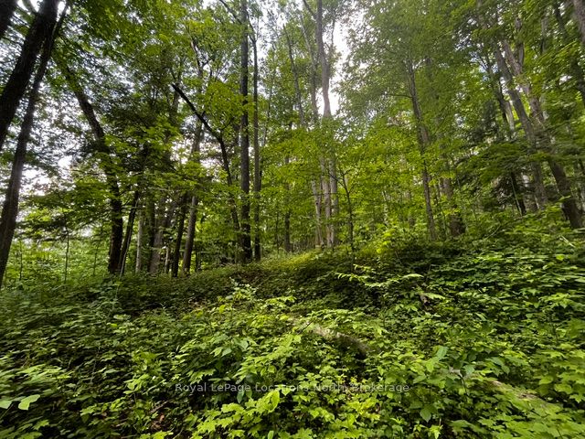 8840 9 County Road Property Photo 9