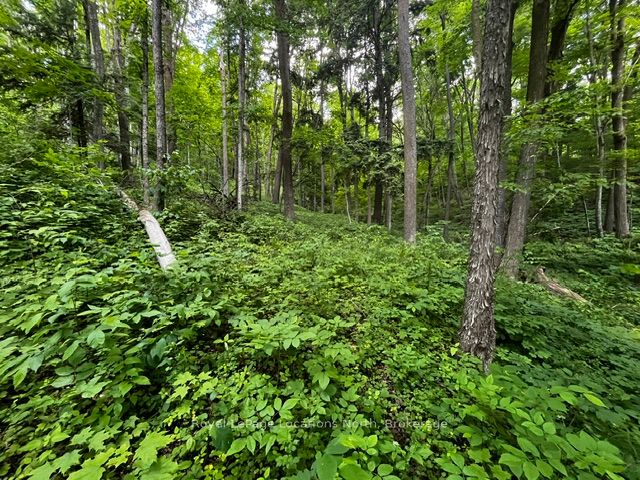 8840 9 County Road Property Photo 10