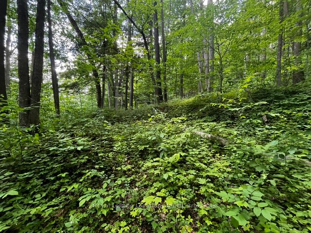 8840 9 County Road Property Photo 11