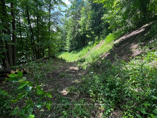 8840 9 County Road Property Photo 12