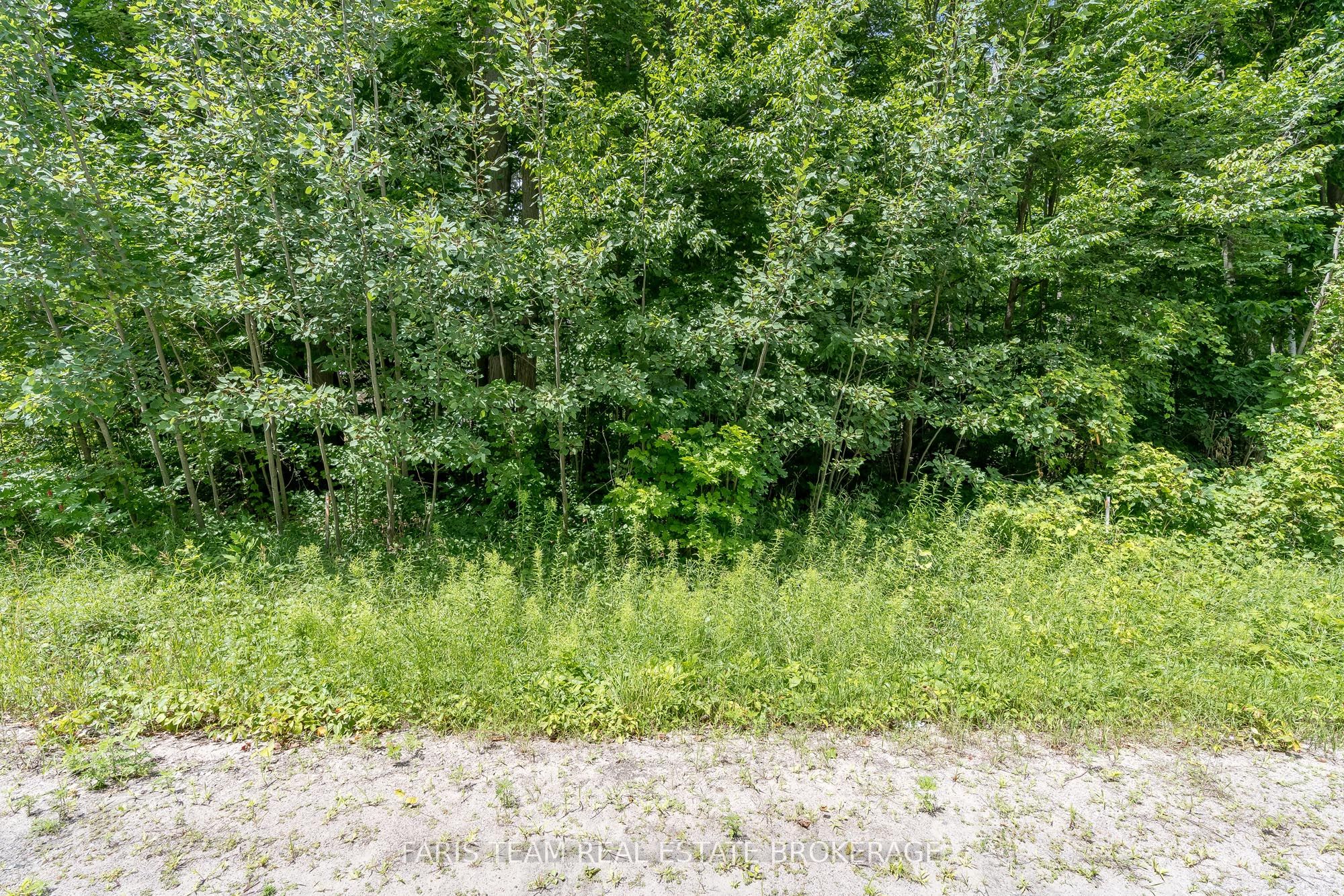 418 Concession 13 Road E Property Photo 3