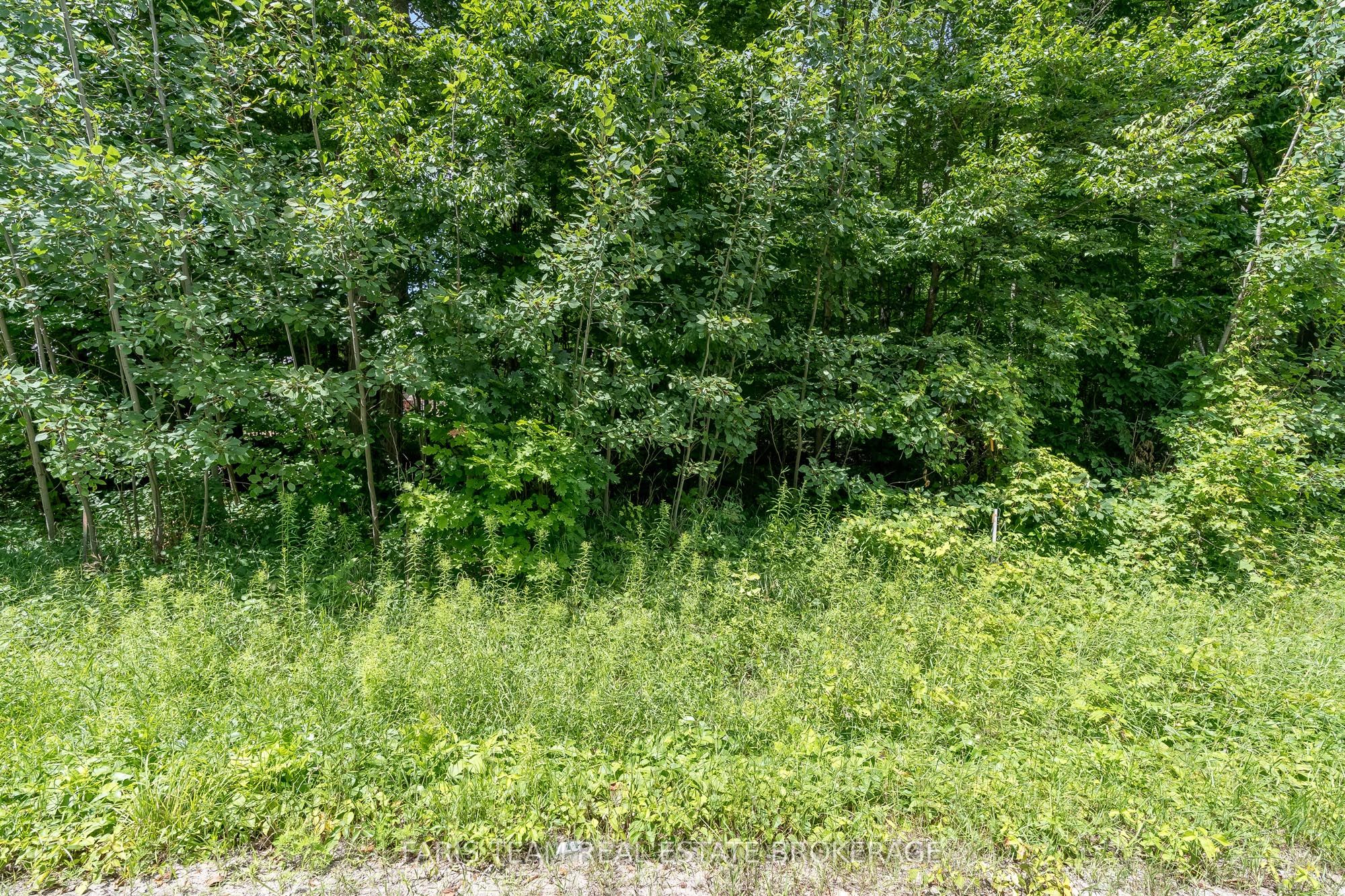 418 Concession 13 Road E Property Photo 4