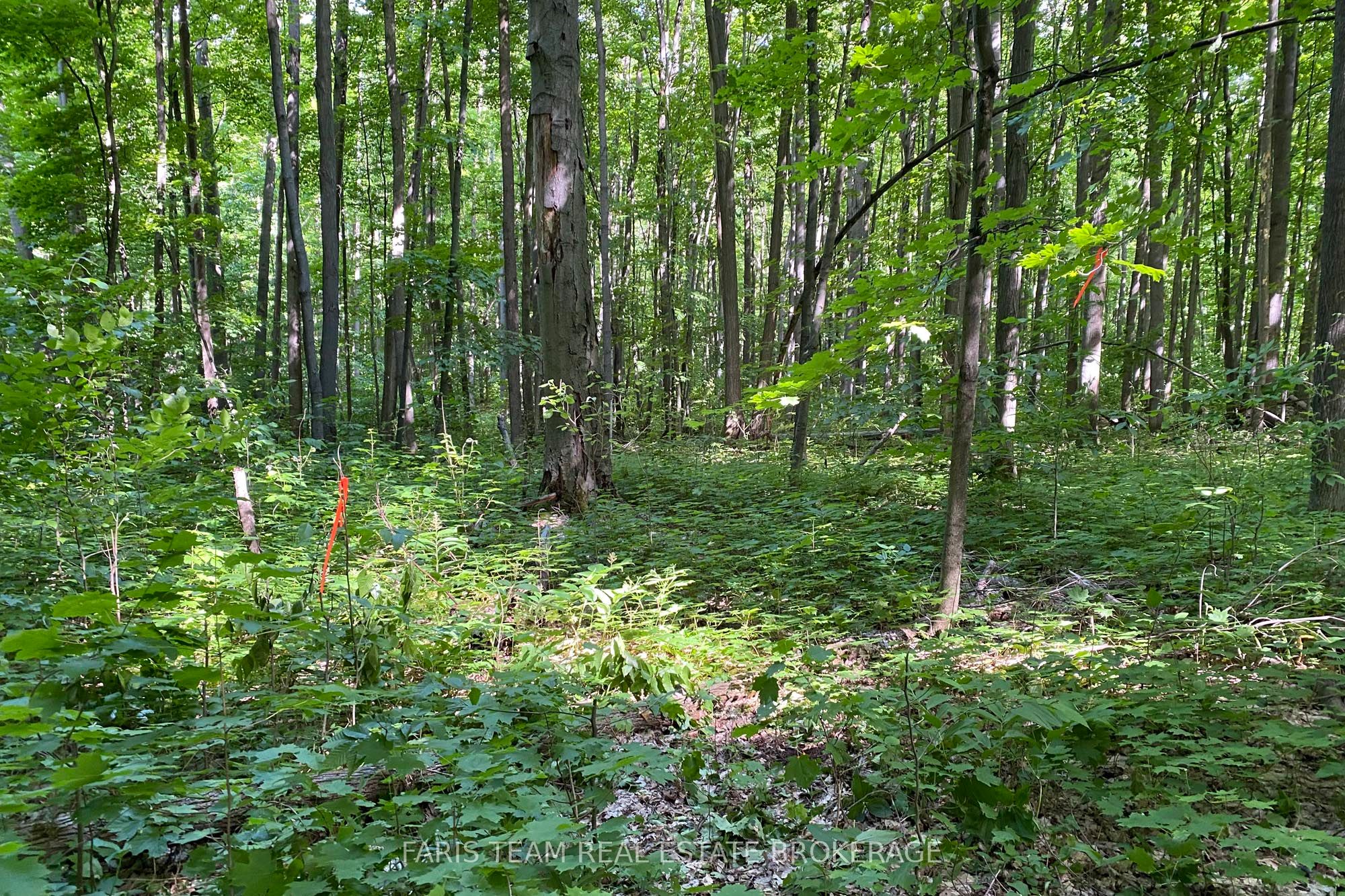 418 Concession 13 Road E Property Photo 13