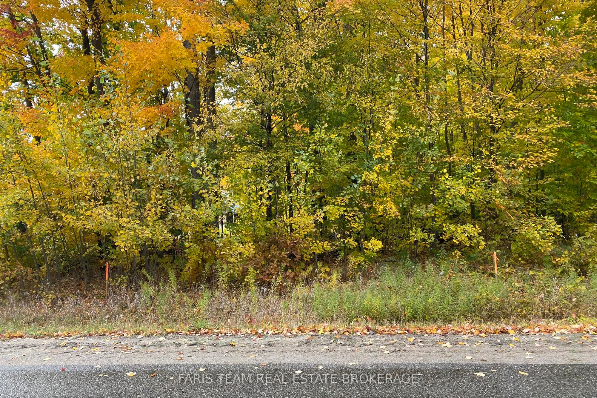 418 Concession 13 Road E Property Photo 15