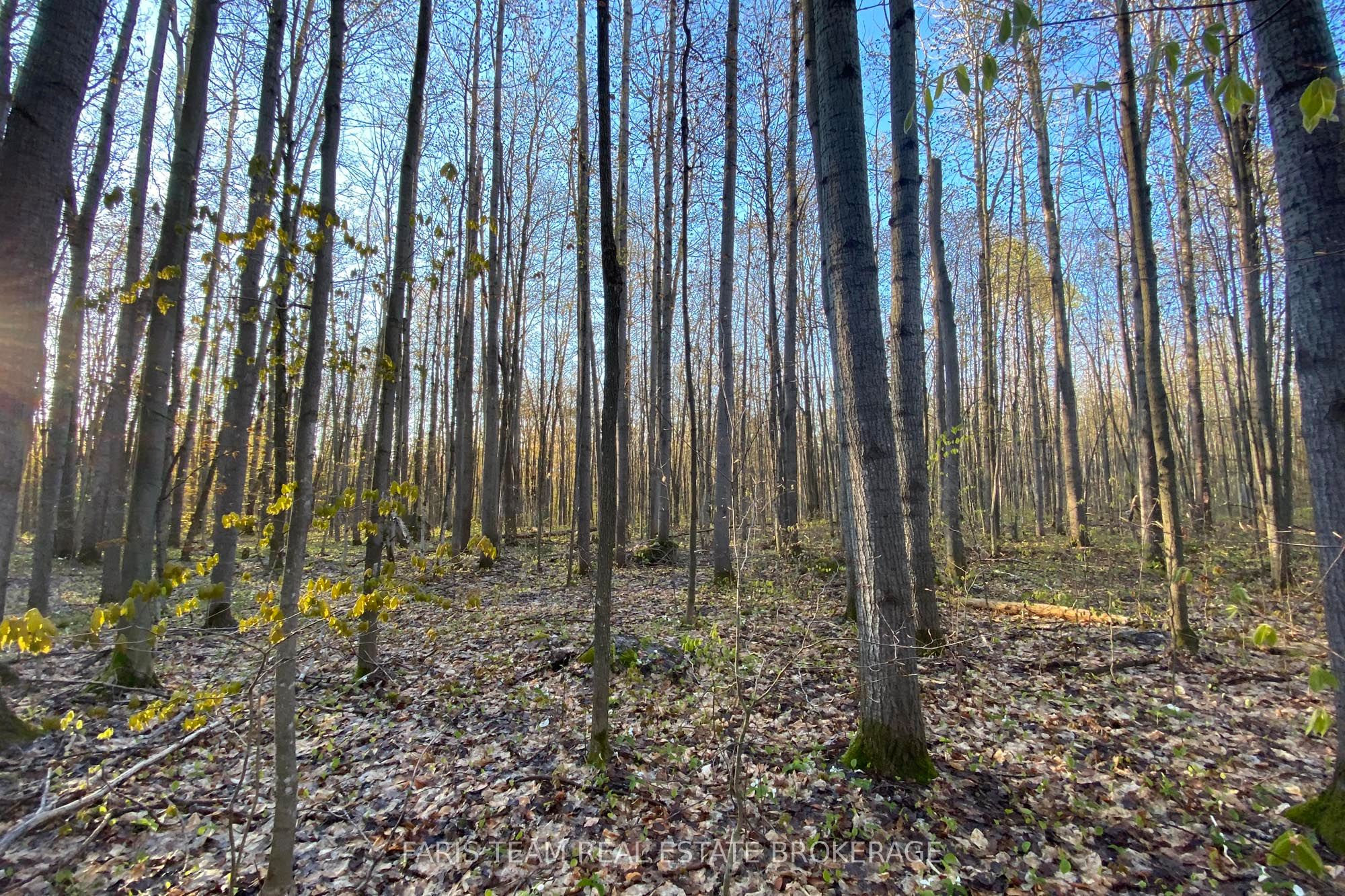 418 Concession 13 Road E Property Photo 16