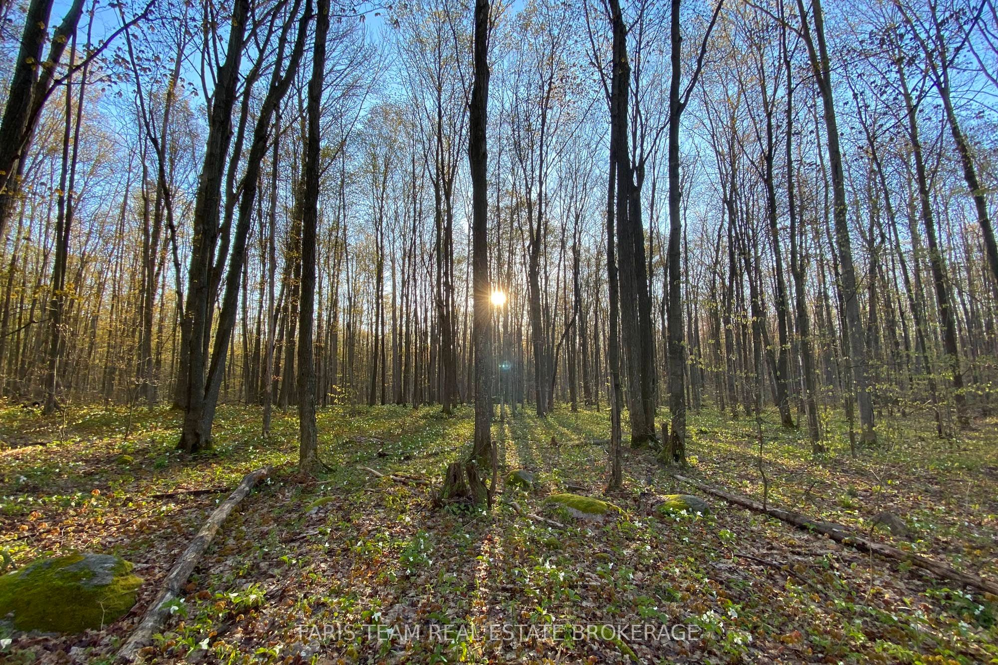 418 Concession 13 Road E Property Photo 17