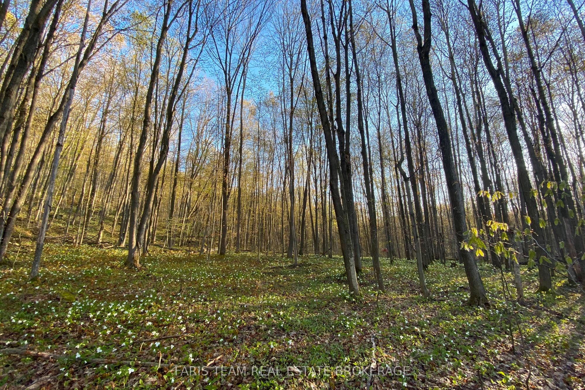 418 Concession 13 Road E Property Photo 18