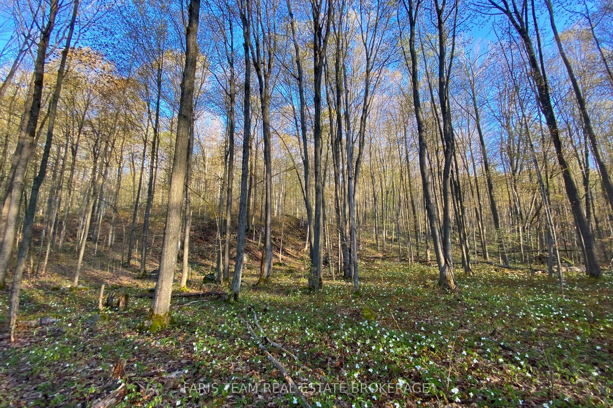 418 Concession 13 Road E Property Photo 19