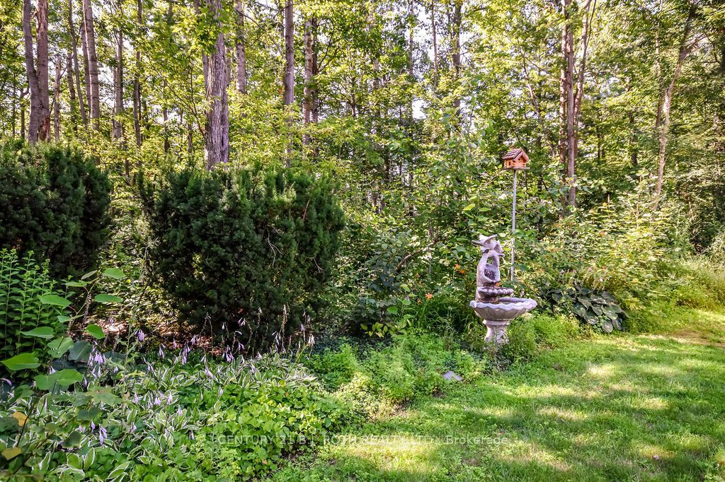 1078 Sunnidale Road Property Photo 43