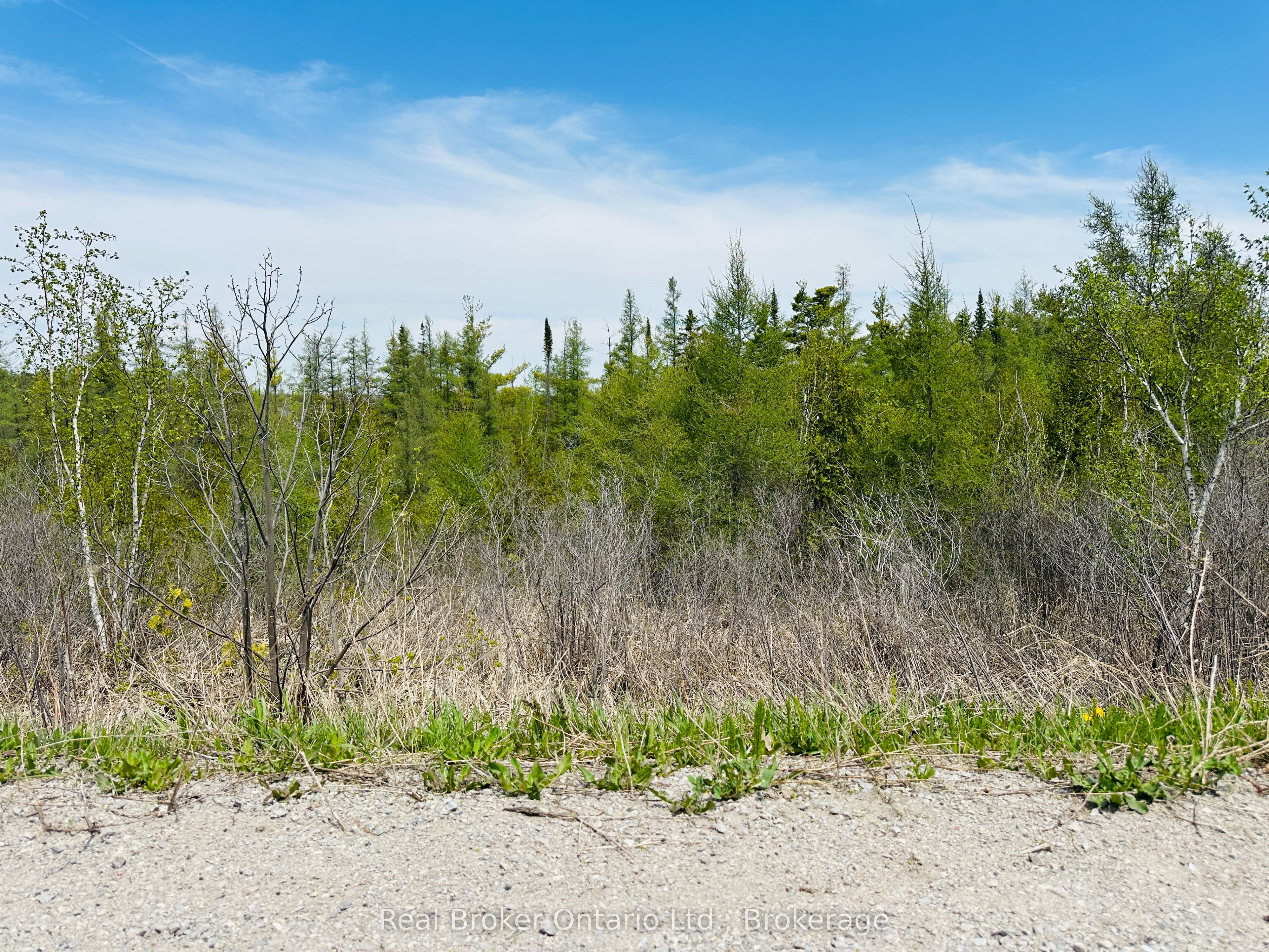 Lot 43 County Rd 16 Road Property Photo 5