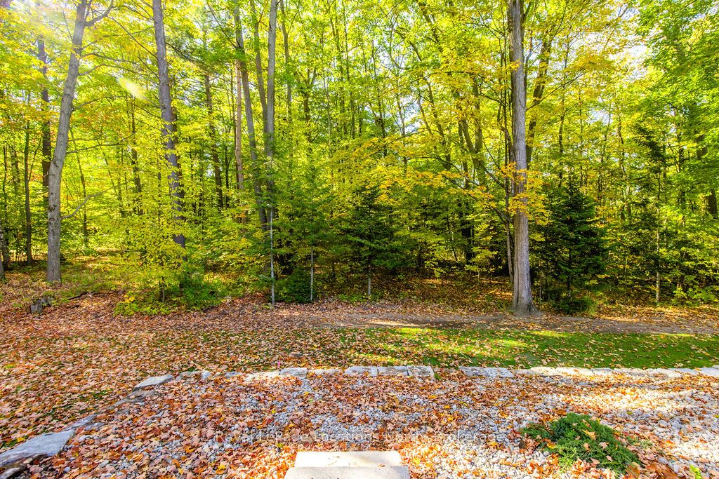 545 Oxbow Park Drive Property Photo 31