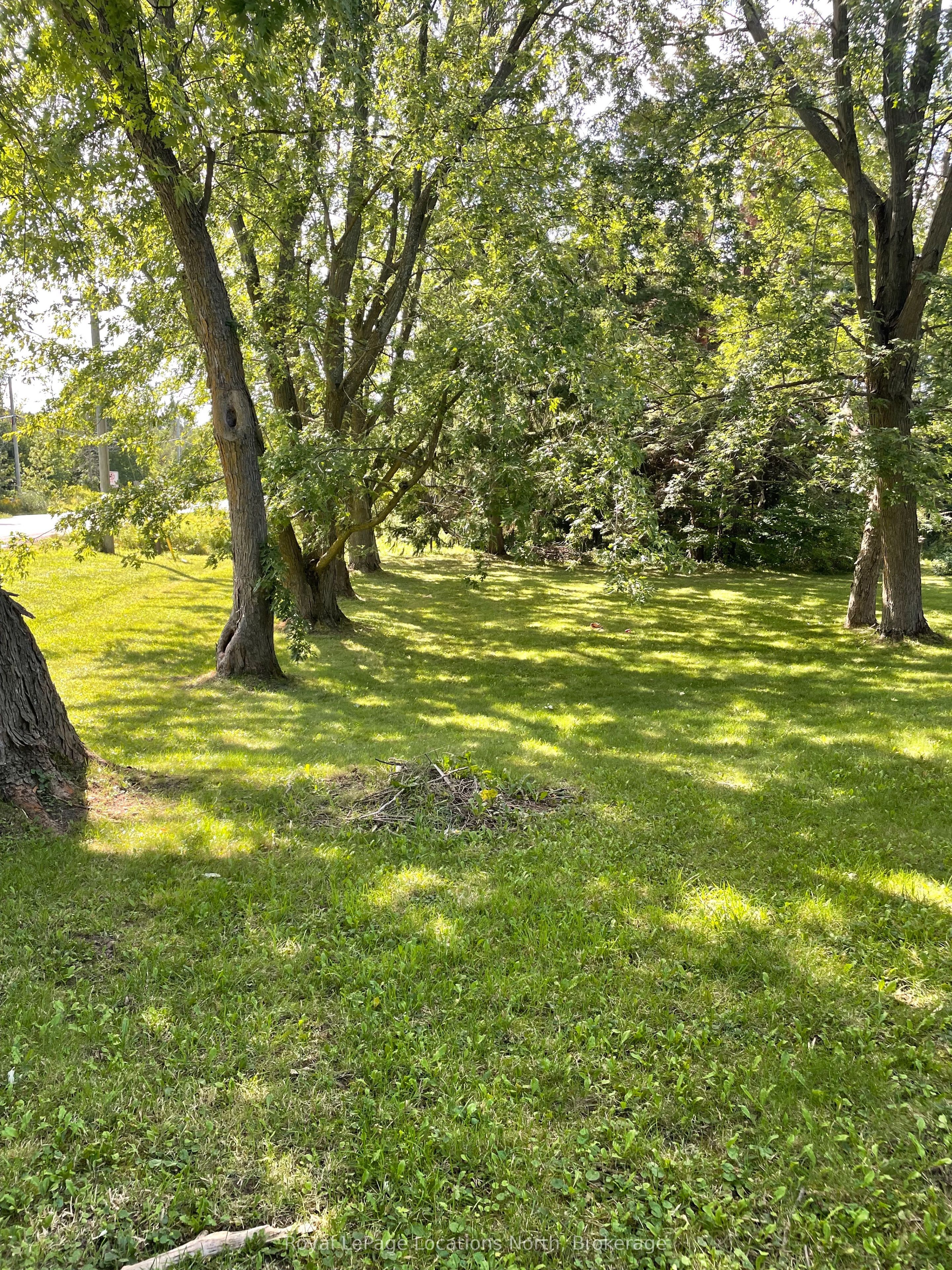 9038 County Rd 91 Road Property Photo 7