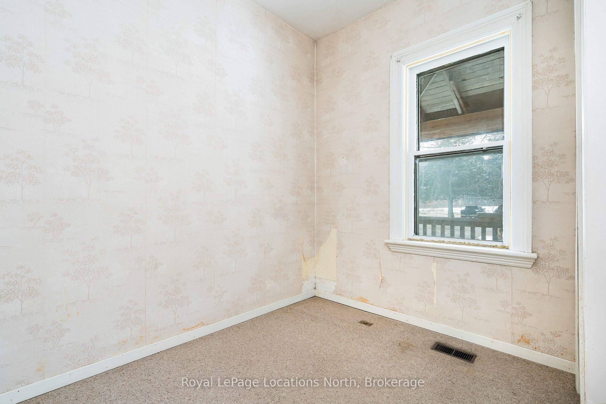 9038 County Rd 91 Road Property Photo 18