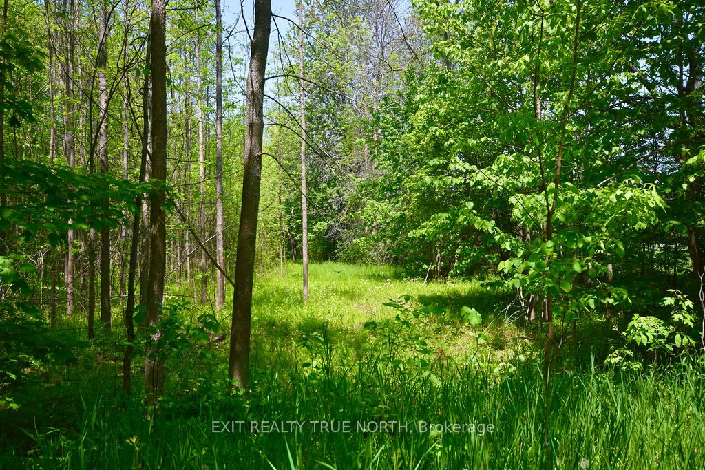 199 3 Concession Road W Property Photo 13