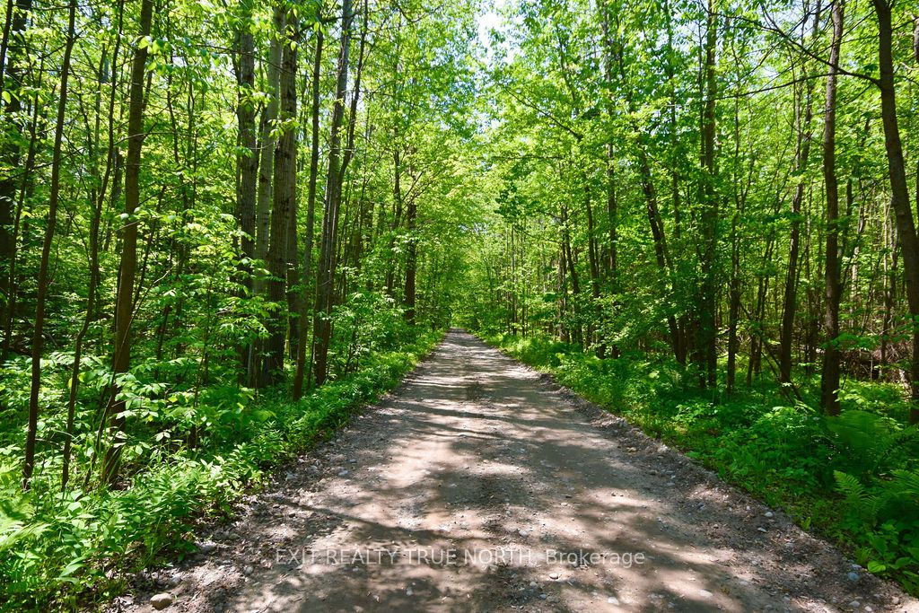 199 3 Concession Road W Property Photo 14