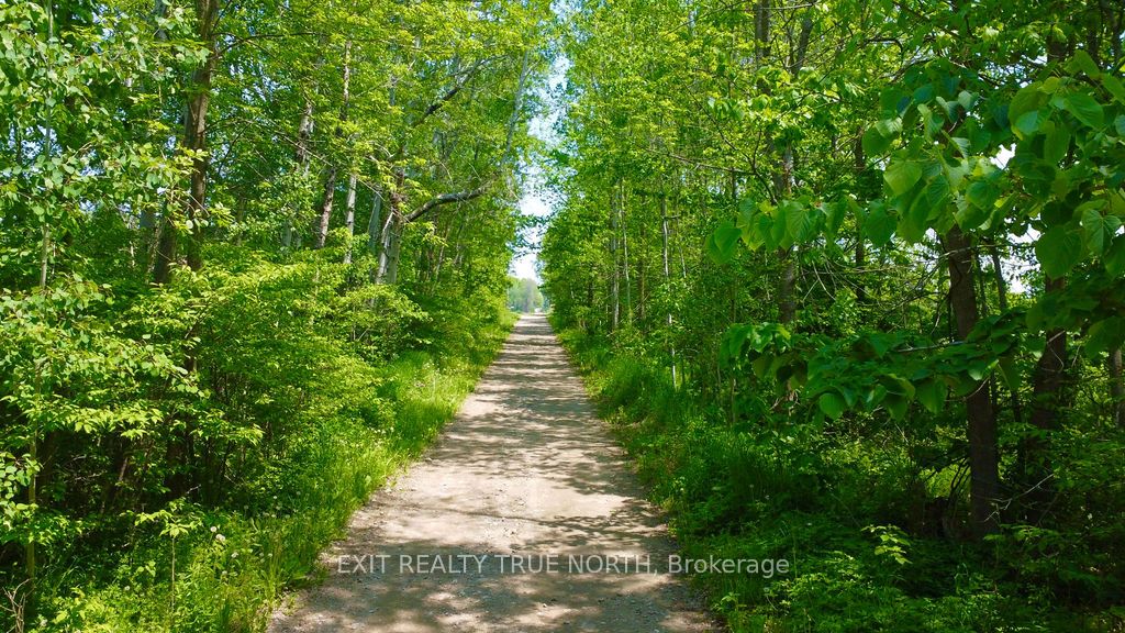 199 3 Concession Road W Property Photo 15