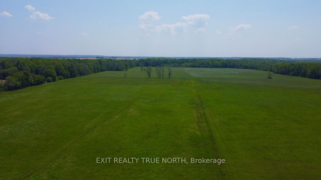 199 3 Concession Road W Property Photo 37