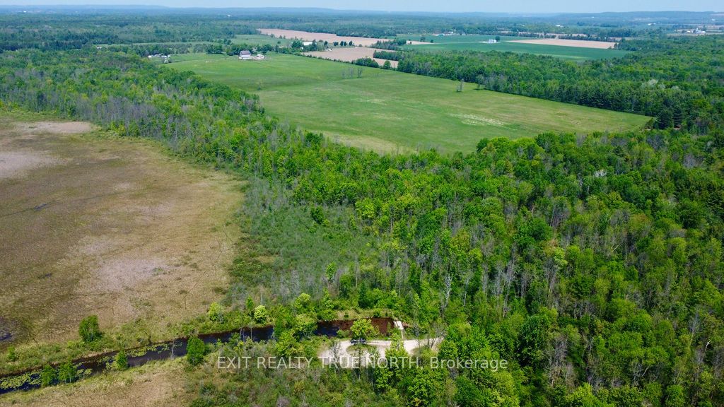 199 3 Concession Road W Property Photo 38