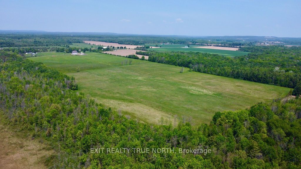 199 3 Concession Road W Property Photo 39