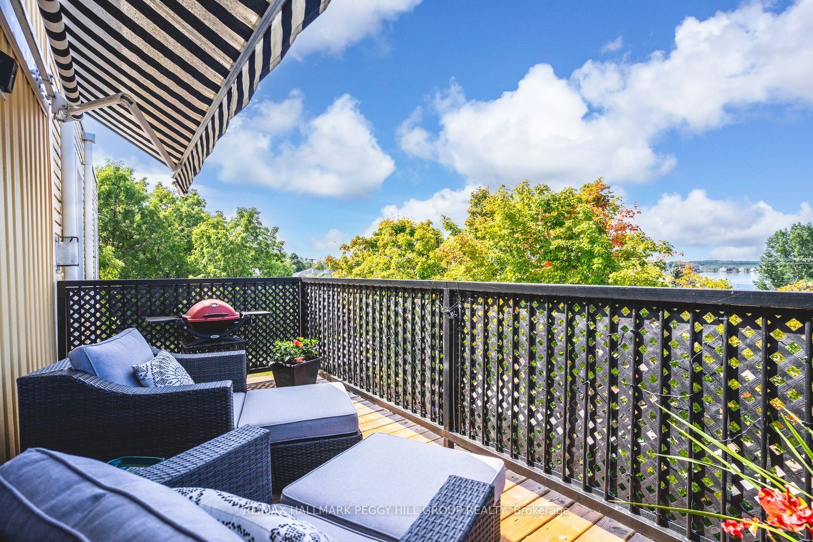 154 William Street Property Photo 20