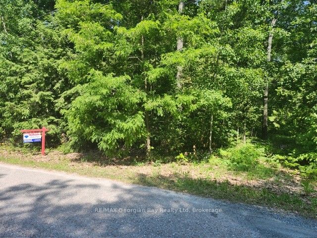 46 Oakwood Avenue N Property Photo 1