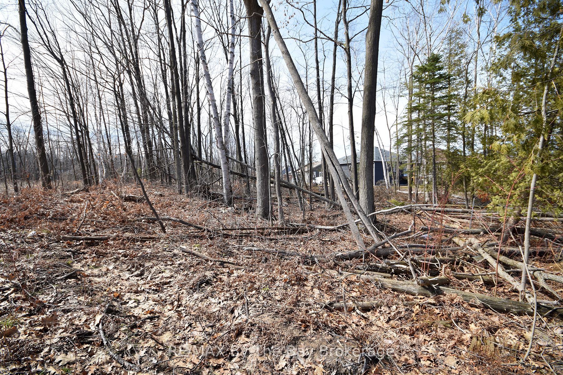 36 Joanne Crescent Property Photo 7