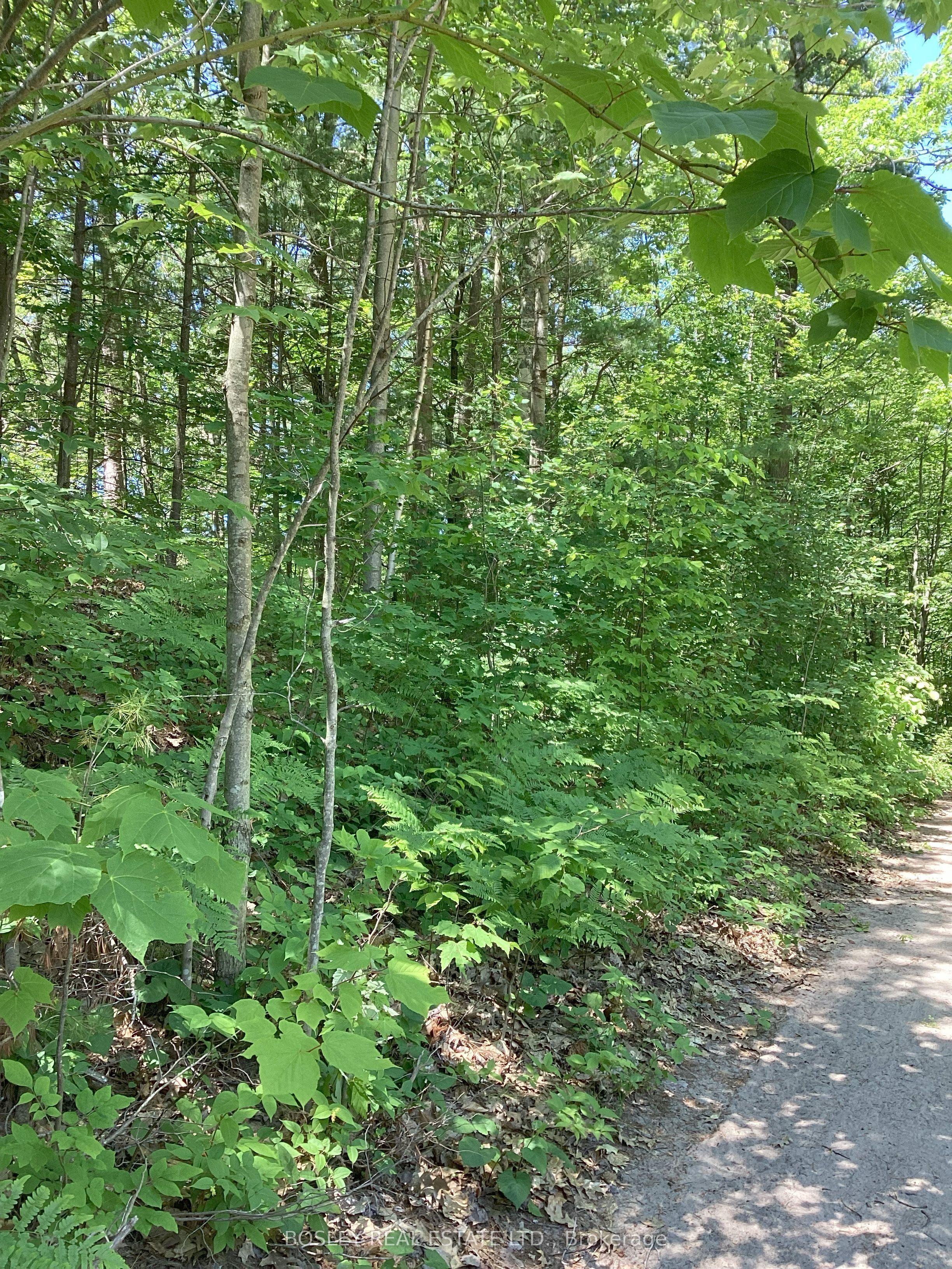 Lot 402 Desroches Trail Property Photo 2