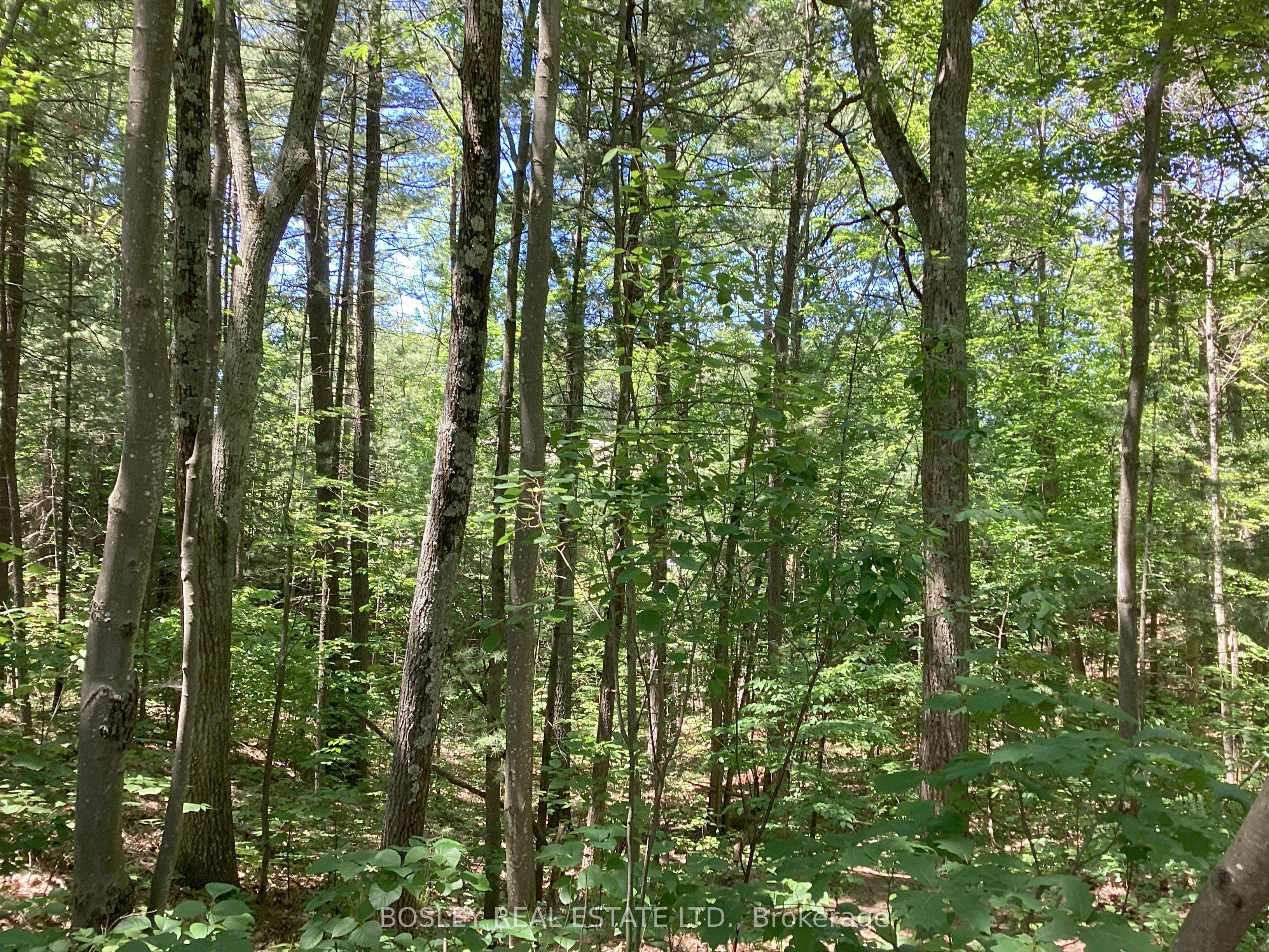 Lot 402 Desroches Trail Property Photo 11
