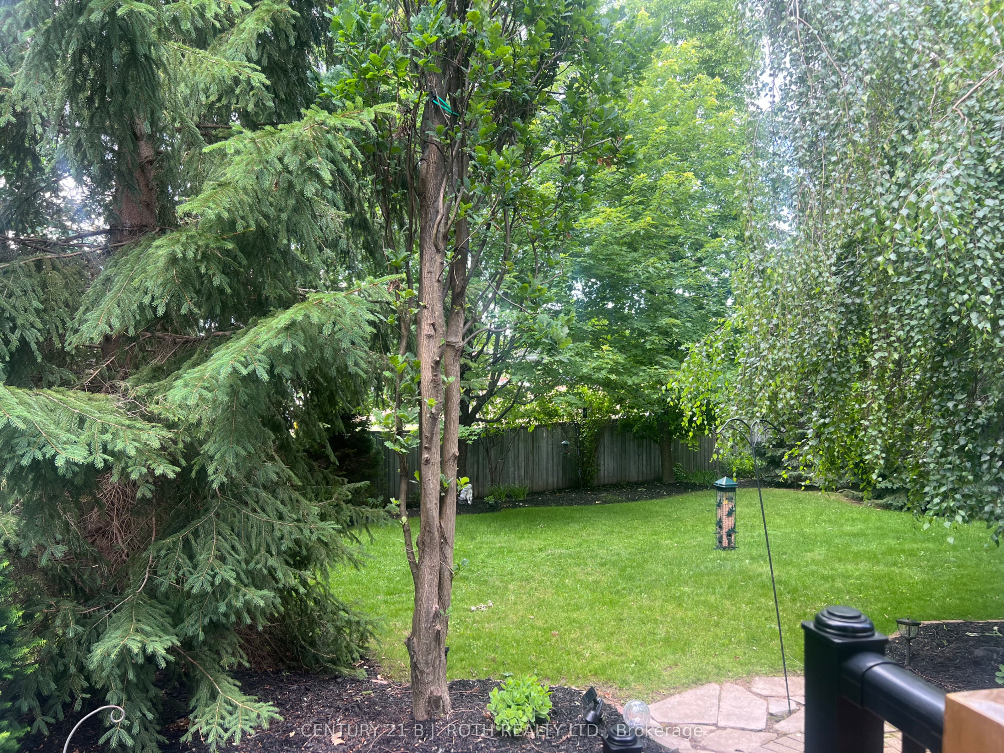 47 Looker Drive Property Photo 3