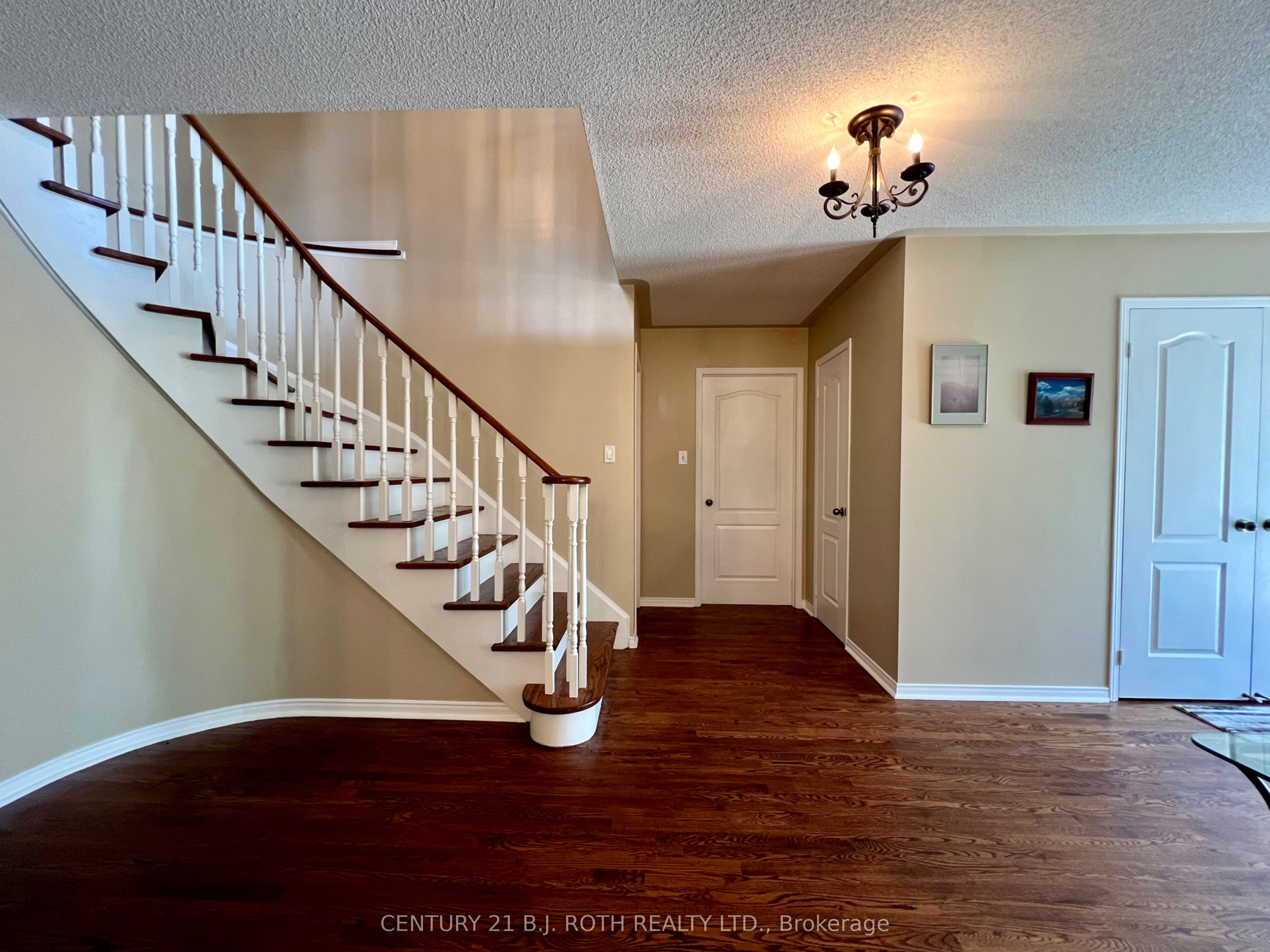 47 Looker Drive Property Photo 19