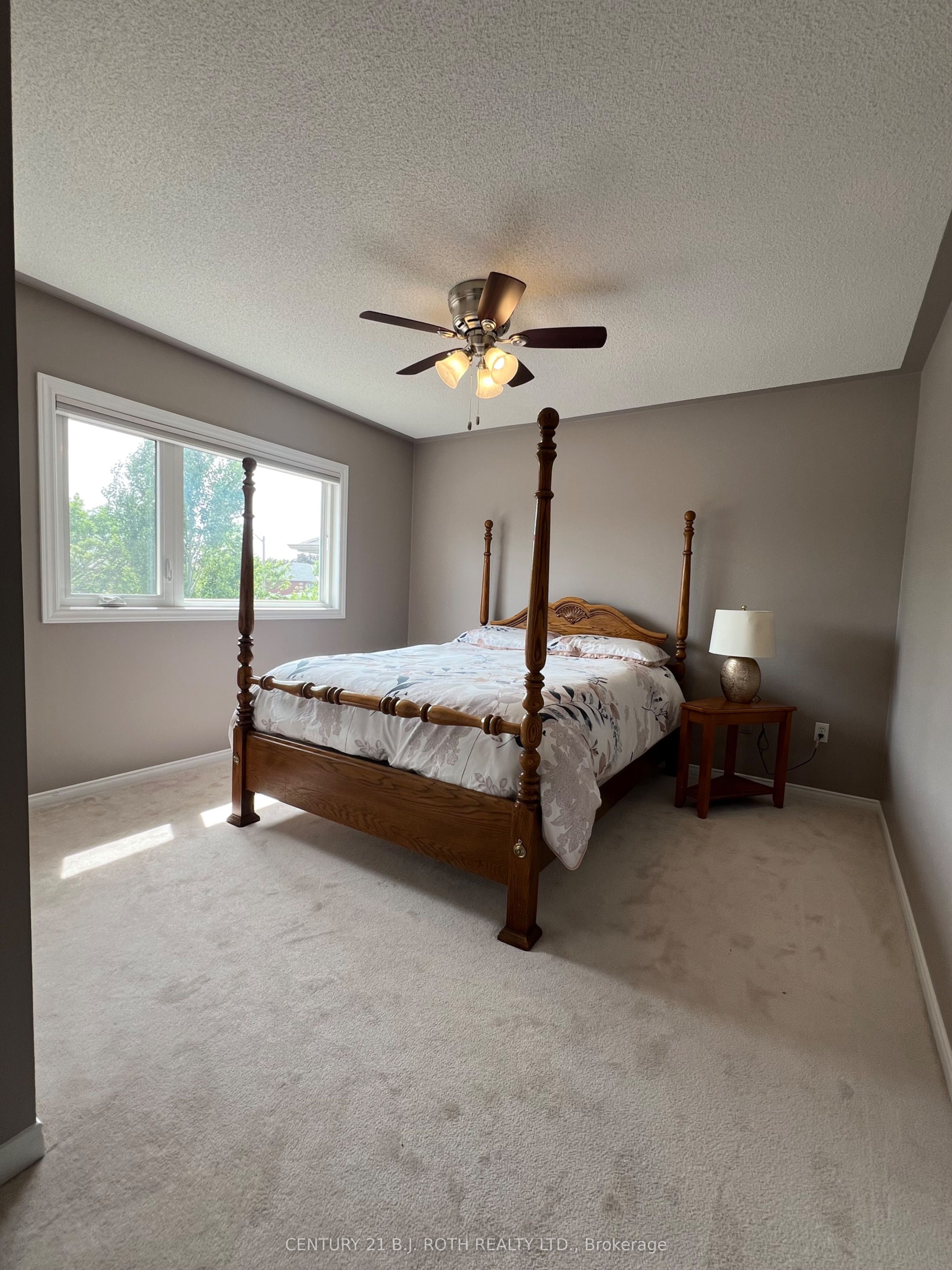 47 Looker Drive Property Photo 34