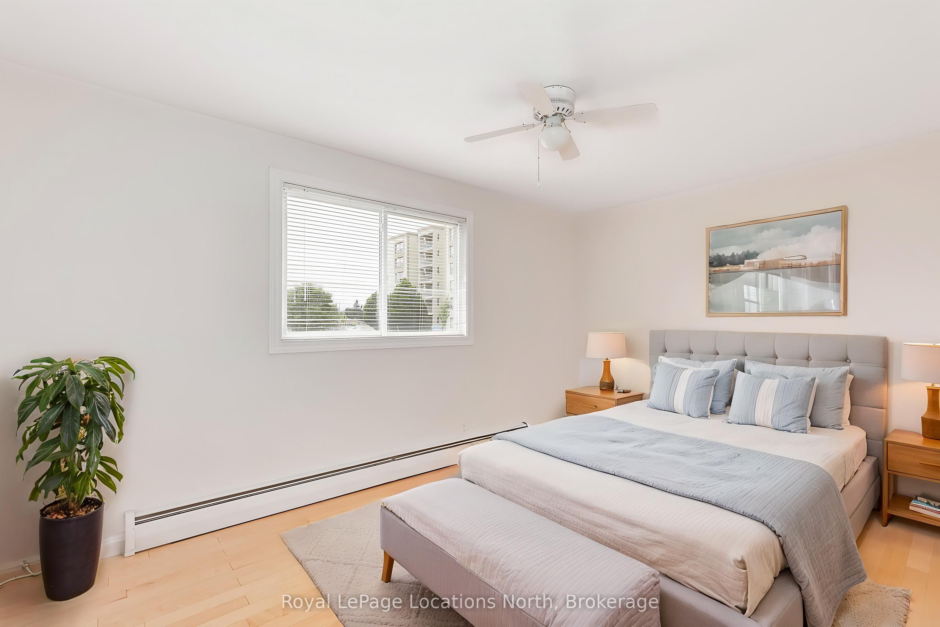 594 Oak Street Property Photo 22