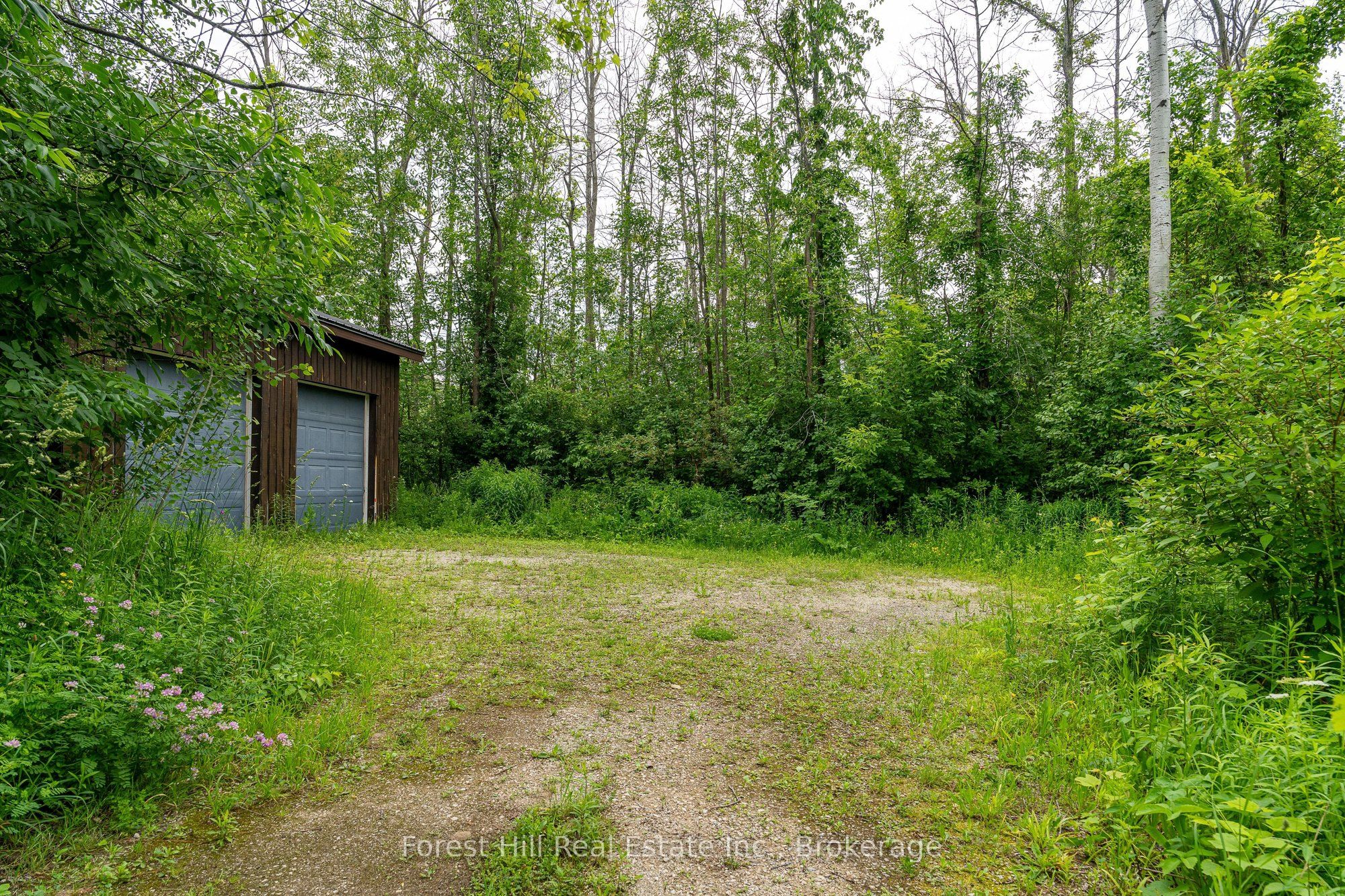 23 Silver Creek Drive Property Photo 6
