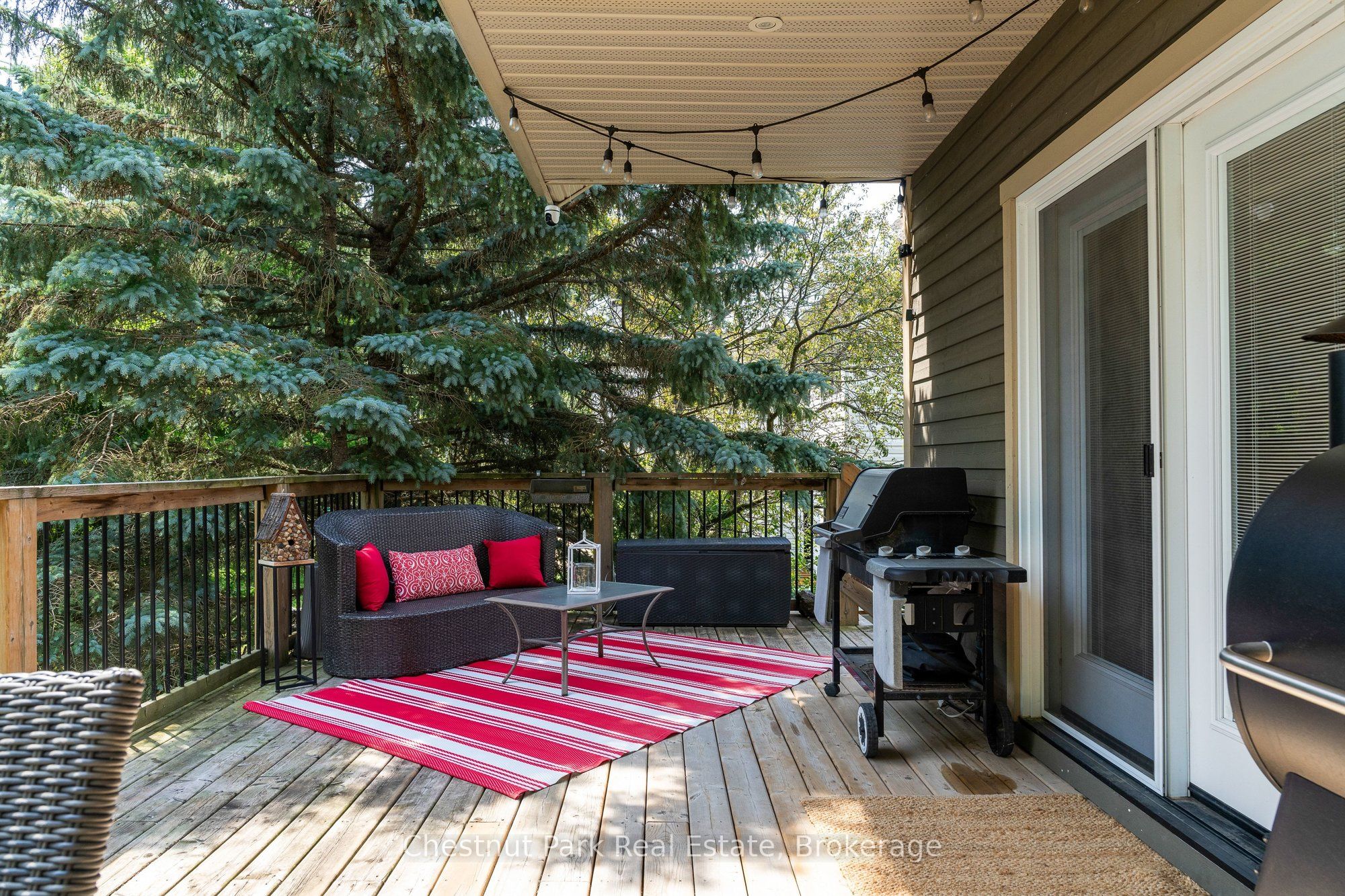15 Saunders Street Property Photo 7