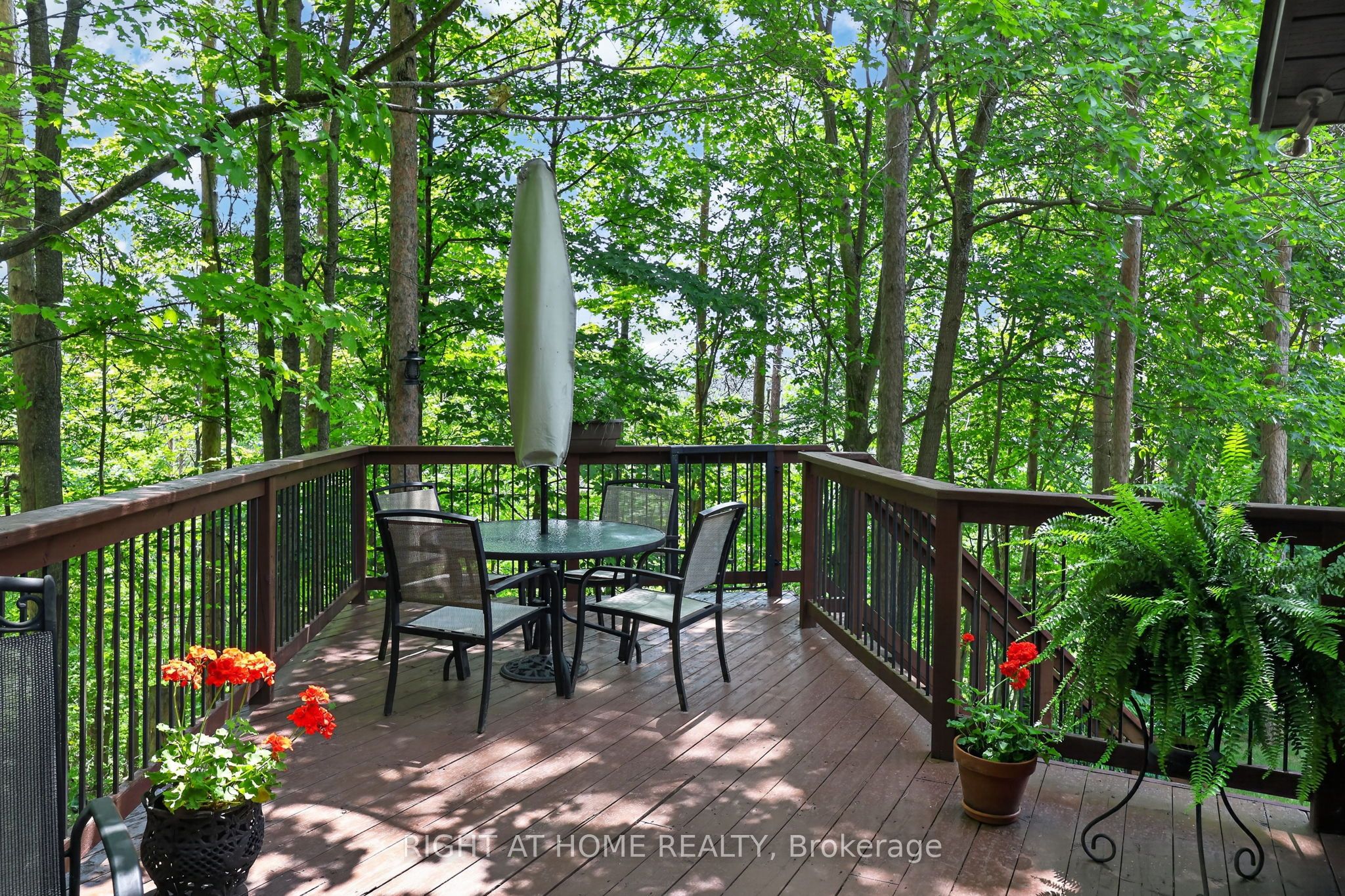 5 Pine Point Property Photo 1