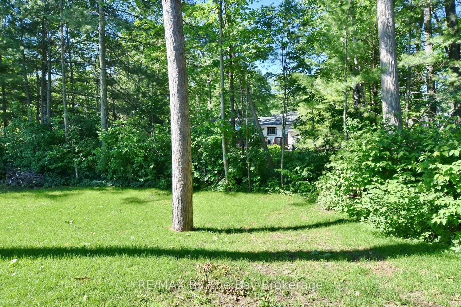16 Caribbean Drive Property Photo 43