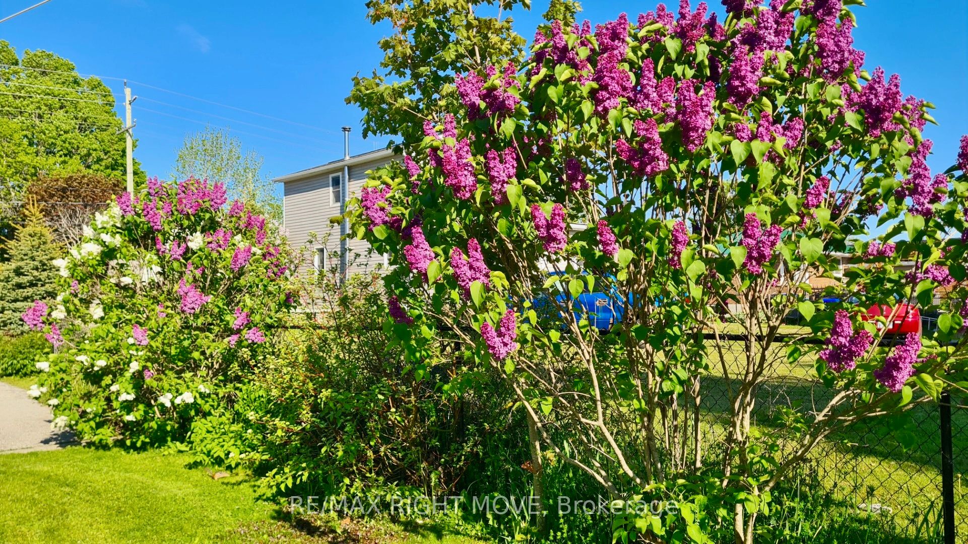 2344 12 Highway Property Photo 21