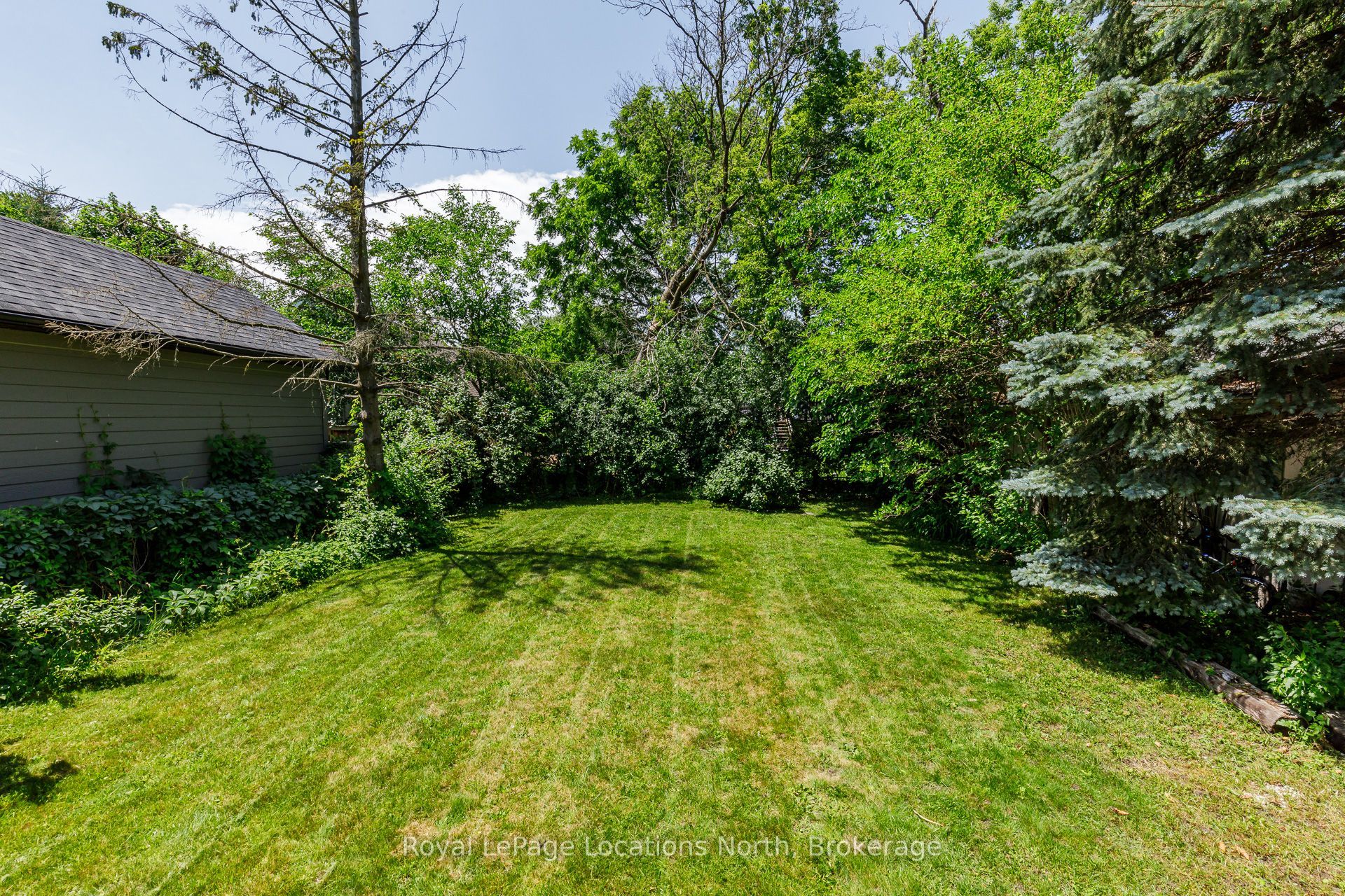 216 Cedar Street Property Photo 43
